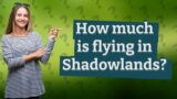 How much is flying in Shadowlands?