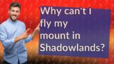 Why can't I fly my mount in Shadowlands?
