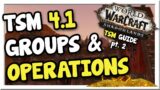 TSM 4.11 Group & Operations Beginner Guide | Shadowlands | WoW Gold Making Guide