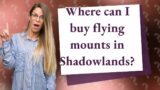 Where can I buy flying mounts in Shadowlands?
