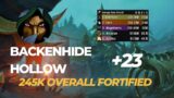 Backenhide Hollow +23 Subtlety rogue POV 245k overall!! dragonflight 10.1 Mythic +