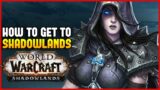 How to get to Shadowlands (Alliance) Shadowlands Starting Quests