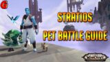 Stratios Pet Battle Guide – Shadowlands