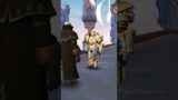 Anduin remains in The Shadowlands