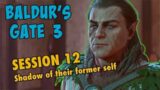 Baldur's Gate 3 Session 12: Shadow of Their Former Self