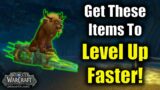 Important Items For WoW Speedleveling