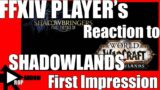 So far so good! Ex-WoW Vet/FFXIV Player Reacts to Shadowlands (Session 1)