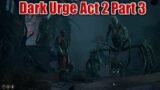 Baldur's Gate 3 Dark Urge Playthrough Act 2 Part 3: Shadowlands