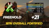 Freehold +21 Assassination rogue 187k overall dragonflight 10.1.7 season 2