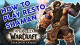 Restoration Shaman Beginner's Guide || Just the Basics || Shadowlands Guide