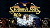 Shadowlands (AMIGA) / Review & Let's Play – Teil 9.