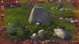 Zero To Hero World of Warcraft Shadowlands Hunter Battlegrounds Part #1
