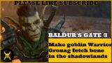 Baldur’s Gate 3: Make goblin Warrior Gronag fetch bone in the shadowlands