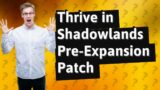 How Can I Thrive in the Shadowlands Pre-Expansion Patch?