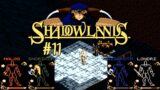 Shadowlands (AMIGA) / Review & Let's Play – Teil 11.