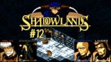 Shadowlands (AMIGA) / Review & Let's Play – Teil 12.