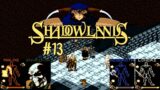 Shadowlands (AMIGA) / Review & Let's Play – Teil 13.