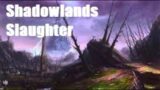 Shadowlands Slaughter 2H BG PoV – Warhammer Online: Return of Reckoning