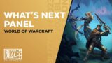 BlizzCon | The War Within: What's Next Panel | World of Warcraft