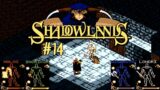 Shadowlands (AMIGA) / Review & Let's Play – Teil 14.