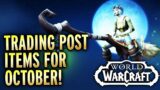 Trading Post Items For October! World of Warcraft Dragonflight