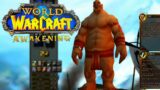"Awakening" NEW World of Warcraft Classic+ Expansion Leak!?