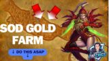 World of Warcraft Classic Season of Discovery Gold Farm Testing 1k Needles