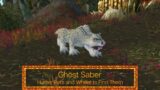 Ghost Saber – Hunter Pets – Where to find it in World of Warcraft
