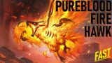 HOW TO GET THE PUREBLOOD FIRE HAWK FAST | World of Warcraft