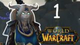 Let's Play World of Warcraft in 2023 Alliance: Character Creation and New Beginnings // Ep 1