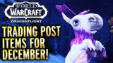 NEW Trading Post Items For December! World of Warcraft Dragonflight