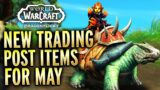 Preview: Trading Post Items For May! World of Warcraft Dragonflight