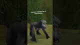 This Monkey is More Helpful than 'Important' World of Warcraft Characters