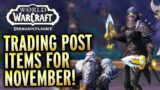 Trading Post Items For November! World of Warcraft Dragonflight
