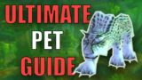 Understanding Hunter Pets in Season of Discovery [World of Warcraft Classic]