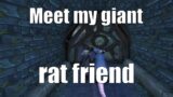 WoW Exploration: Meet my giant rat friend – World of Warcraft