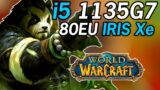 World of Warcraft – 1135G7 Tiger Lake Xe Graphics Performance 1080P