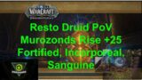 +25 Resto Druid PoV Murozond Rise FORTIFIED INCORPOREAL SANGUINE World of Warcraft