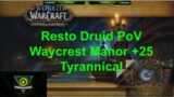 +25 Resto Druid PoV Waycrest Manor TYRANNICAL VOLCANIC SANGUINE World of Warcraft