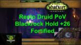 +26 Resto Druid Blackrock Hold FORTIFIED STORMING BURSTING, World of Warcraft, Dragonflight