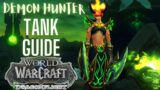 Beginner's Guide to Demon Hunter Tank | World of Warcraft Dragonflight