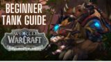 Beginner's Guide to Druid Tank | World of Warcraft Dragonflight