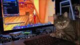 Cat play's World of Warcraft Classic