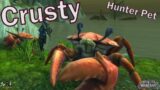 Crusty the Crab – World of Warcraft Hunter Pet Guide: Finding and Taming