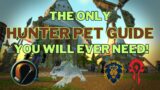 Hunter Pet Guide For World Of Warcraft Classic | Season Of Discovery