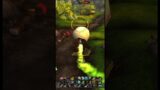 Hunting EVERYTHING MM MArksman Hunter Wow 10.2 Dragonflight World of Warcraft PvP