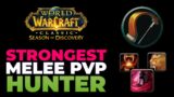 STRONGEST MELEE Hunter PvP Build Season of Discovery – World of Warcraft
