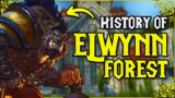 The Lore: Elwynn Forest (World of Warcraft Lore)