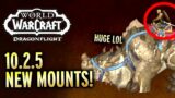 The Mounts of 10.2.5 – Quick Guide World of Warcraft Dragonflight