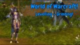 World of Warcraft + Wild Horse Islands |:| Vibing + Grinding + Hangin' With Viewers